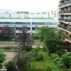 Viager appartement Boulogne-billancourt 92100