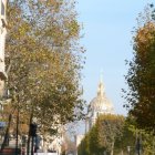 Viager appartement Paris 75015