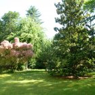 Viager appartement Nogent-sur-marne 94130