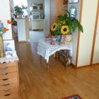 Viager appartement Paris 75020