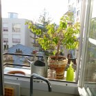 Viager appartement Paris 75020